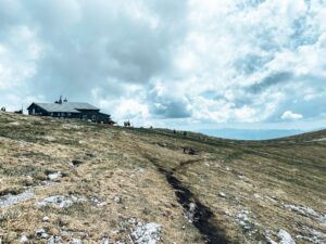 Eine Wanderung mit Vielfalt - der Fadensteig am Schneeberg